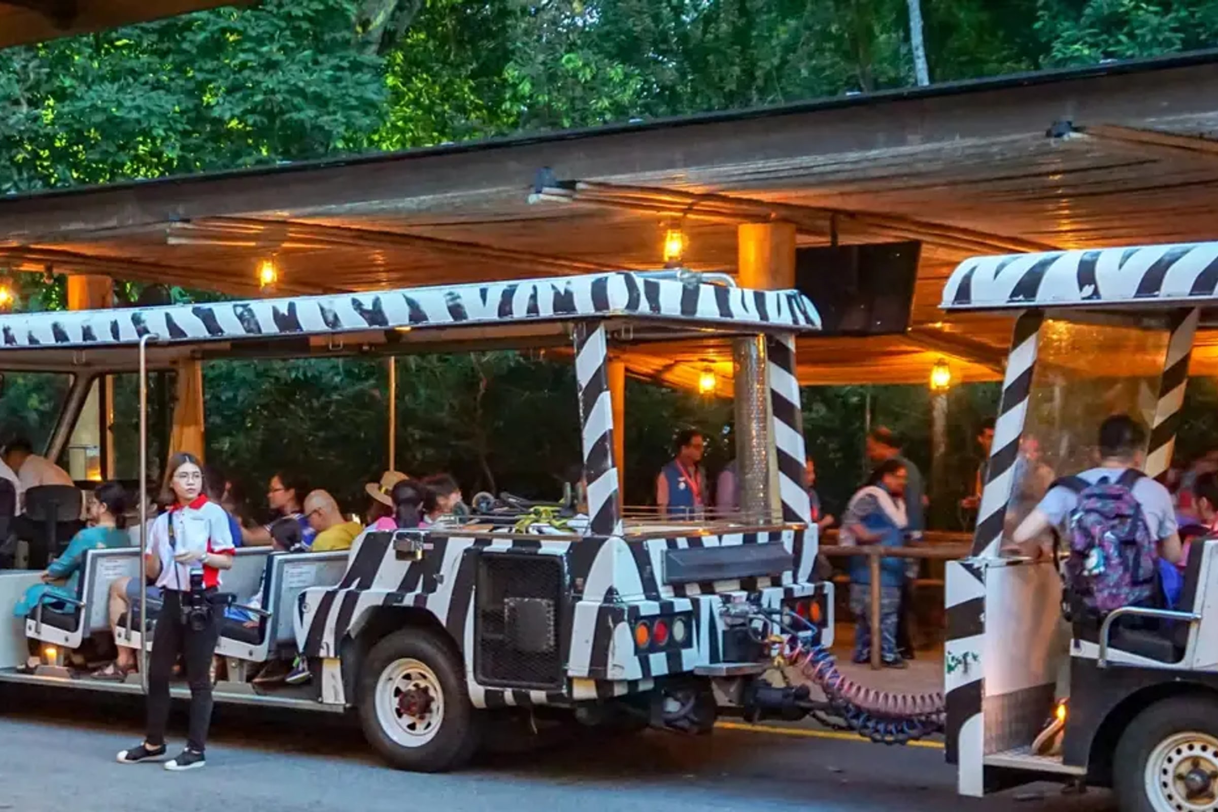 Singapore Night Safari Tram Ride (Shared Transfer)